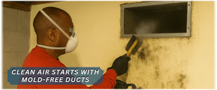 Air Duct Mold Removal in Downers Grove