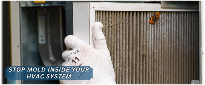 HVAC Mold Removal Downers Grove